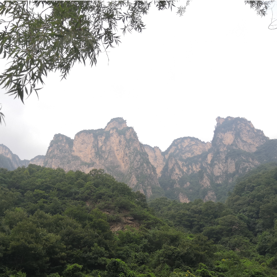 手机用户14726742