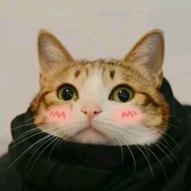 哈哈哈