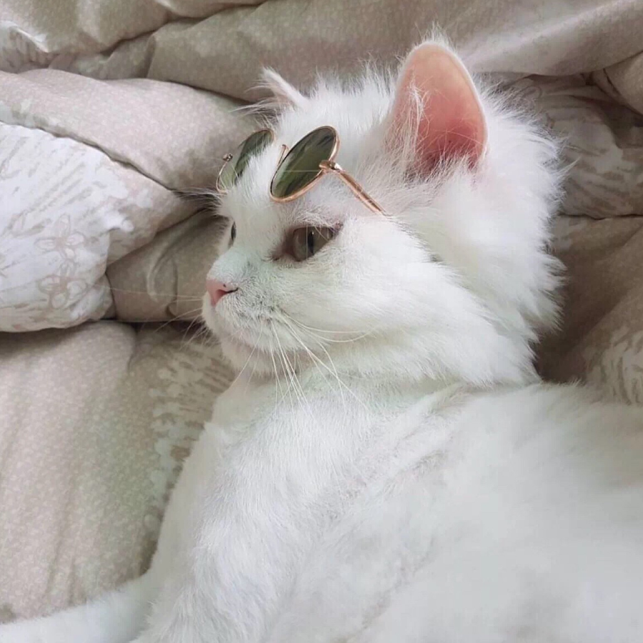 一颗大白兔