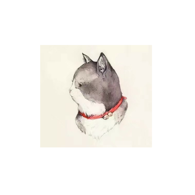 大猫