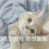 小雨淅淅