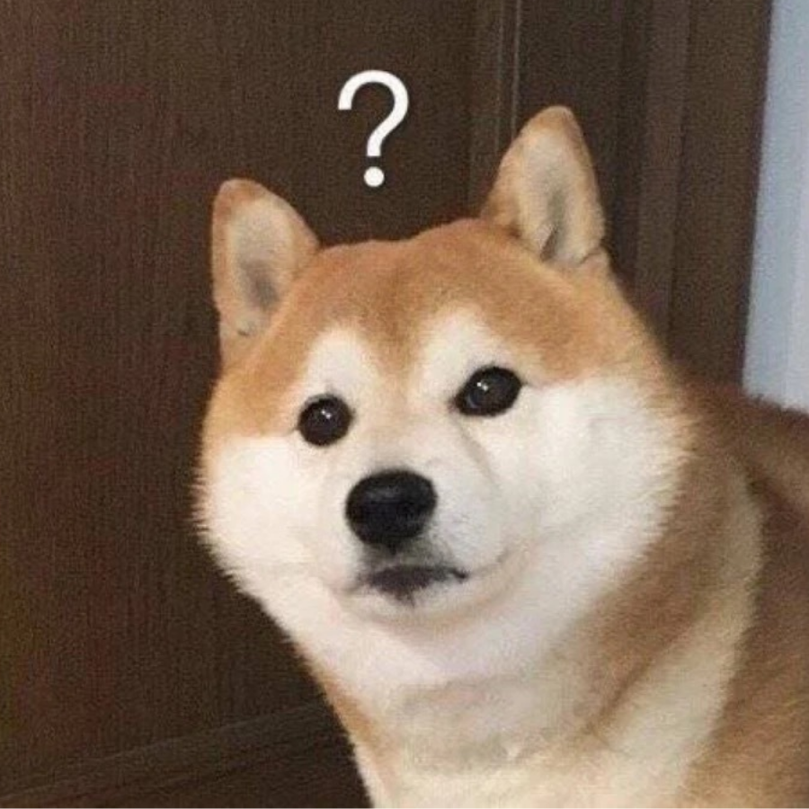 归璨.