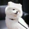 不再犹豫