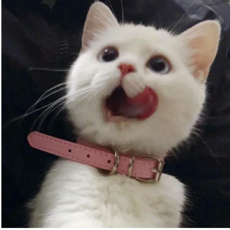 鸾洛