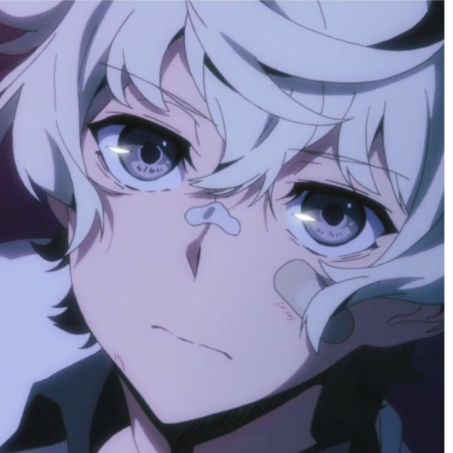 全校少女的梦