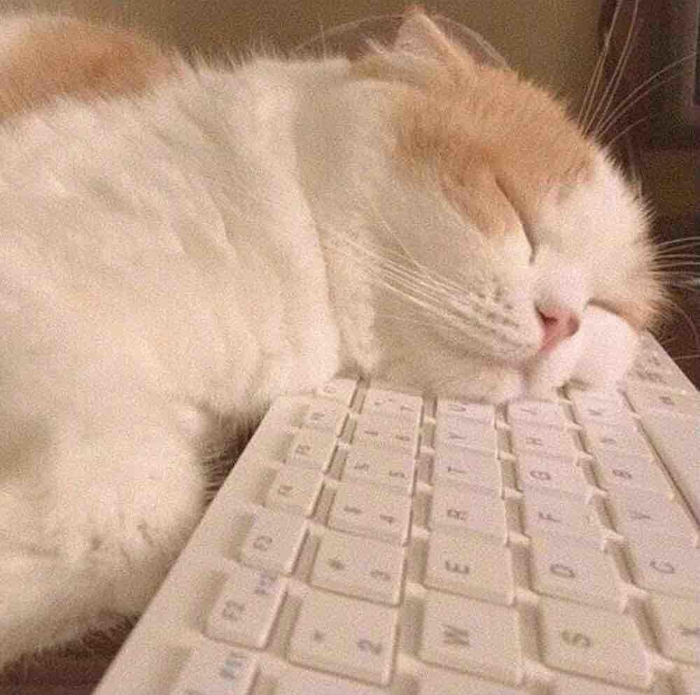 蓝白
