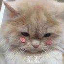 余瑾