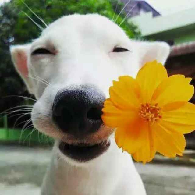 徐洪林
