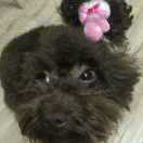 🏧💰银子💹💱