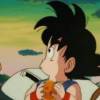User39243063