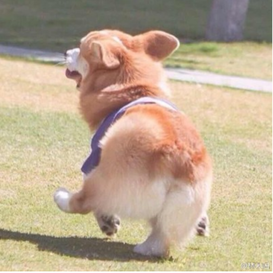 莫名其妙被改名