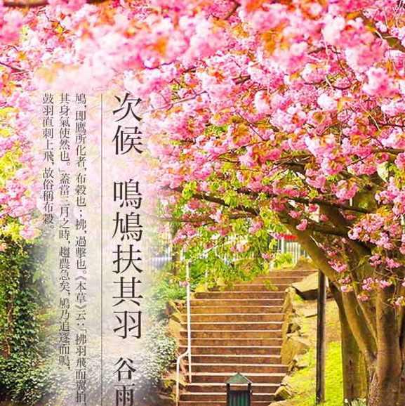 水云间