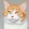 User16940049