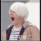 某游药丸