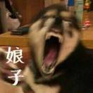 木帛
