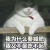不知道叫啥