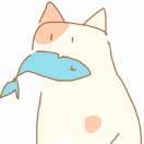 喵喵喵喵？？？