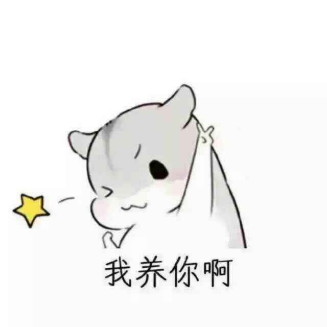 神秘天蝎座
