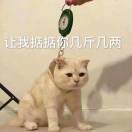 快乐生活每一天
