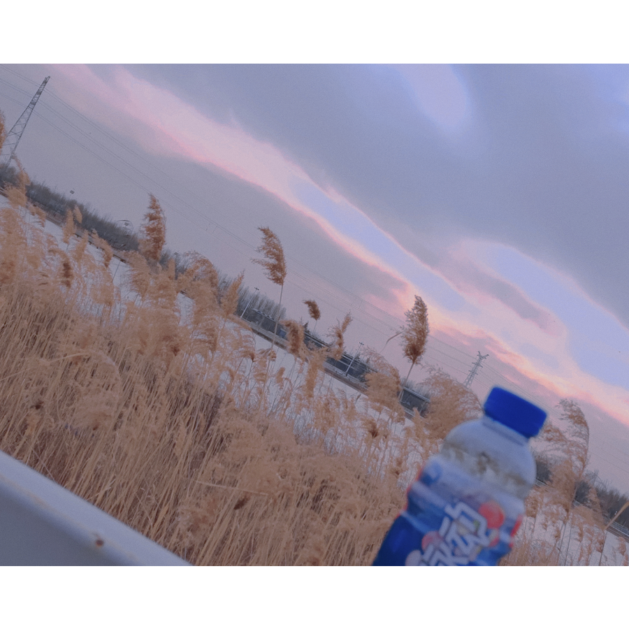 校洋