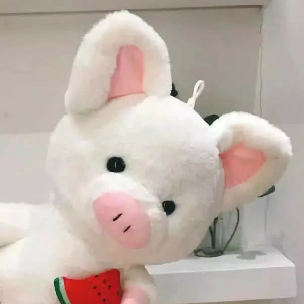 啵丝淮南鸭