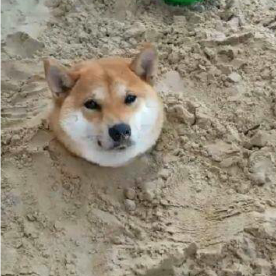 柴