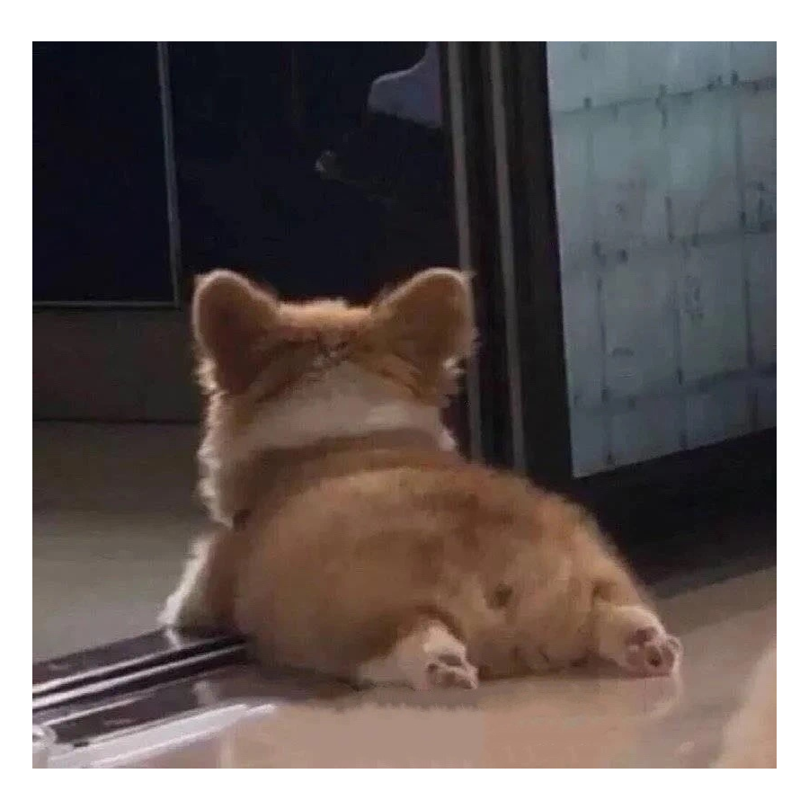 困睡