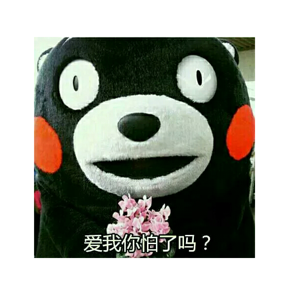 User253396