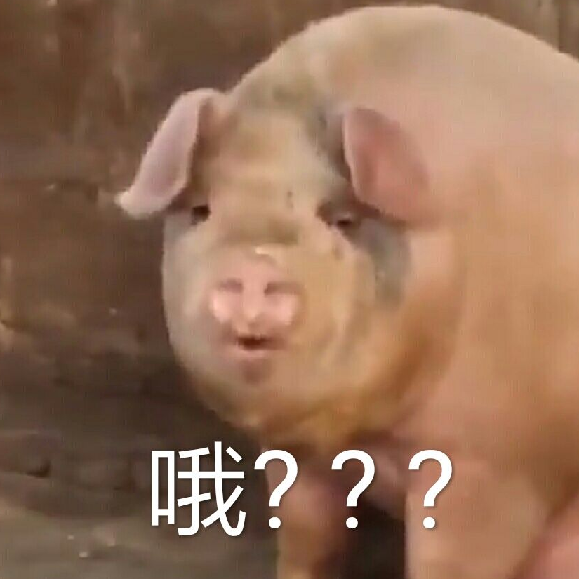 哦豁哇哈！