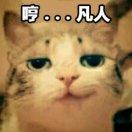 腹ぐろ「Cheese」ヾ