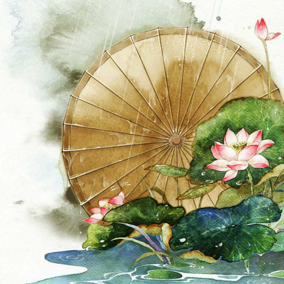 玖卿