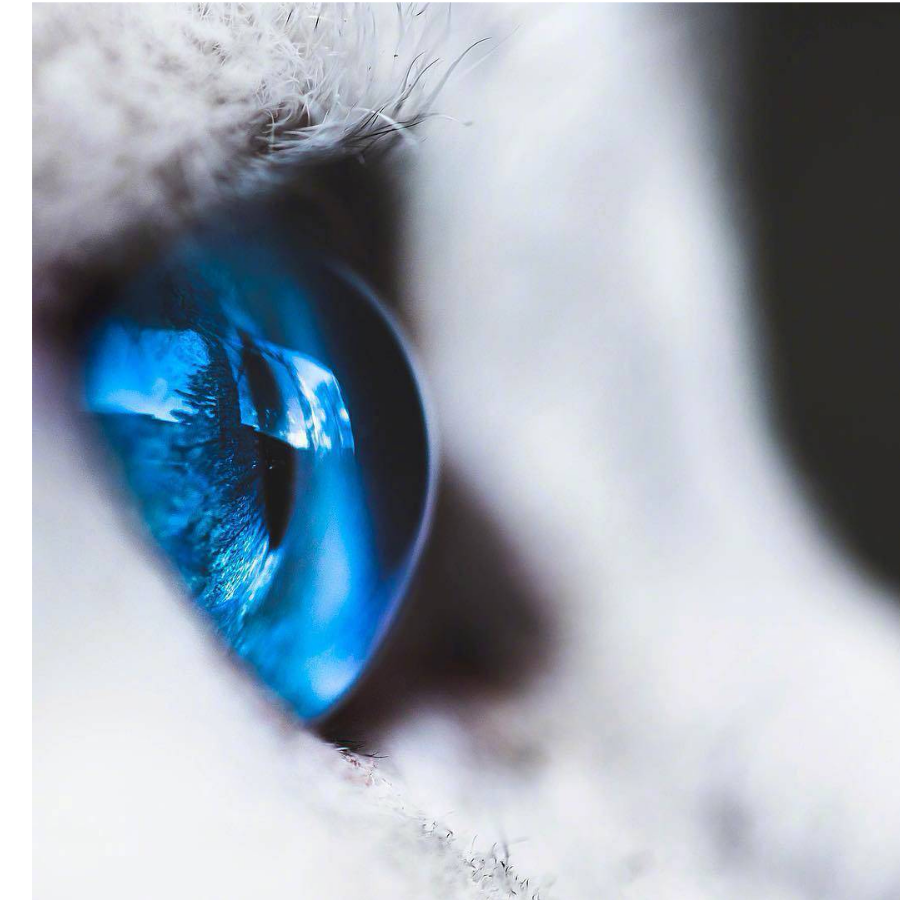 明天又是元气满满的一天