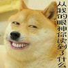 隔壁老严
