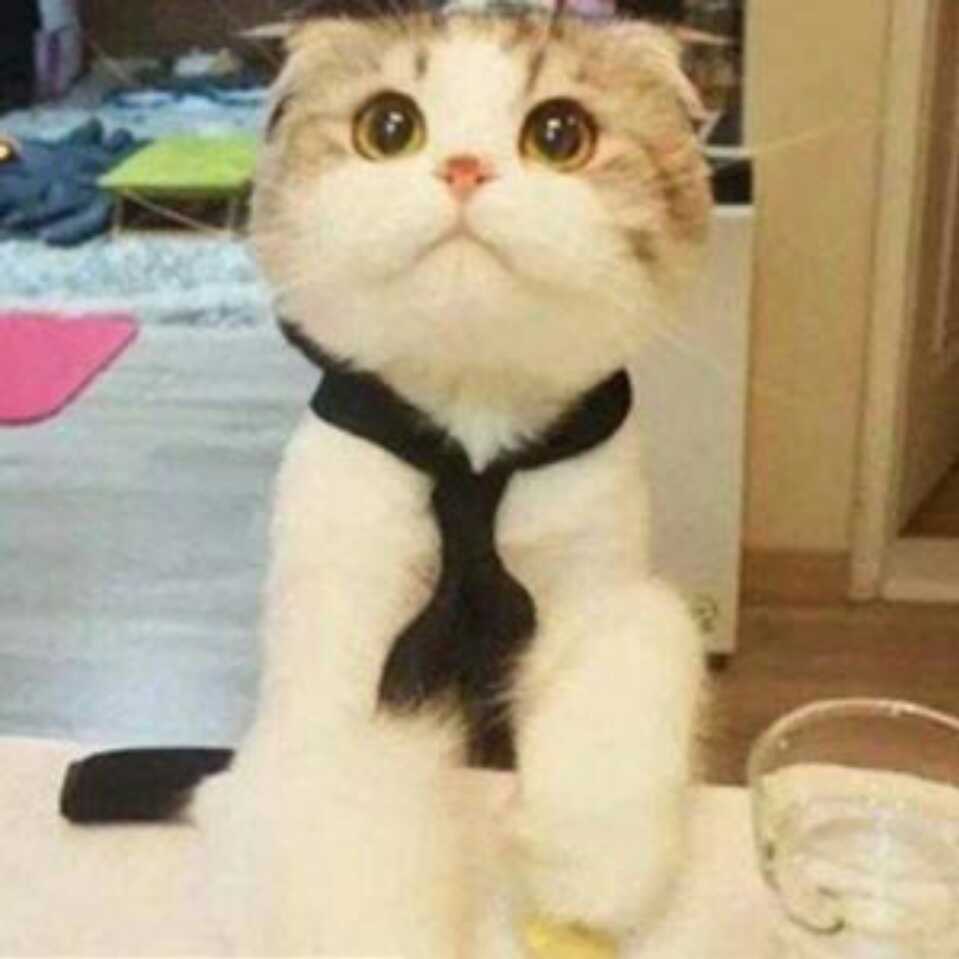 雅杰