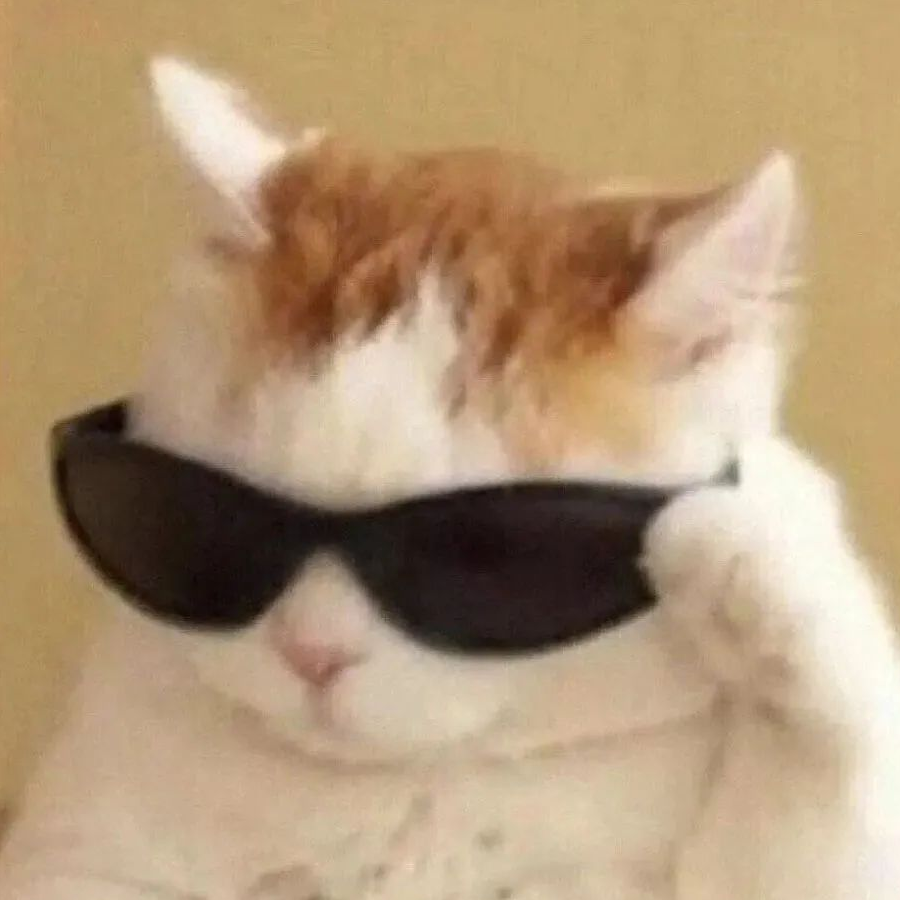 酷猫仔