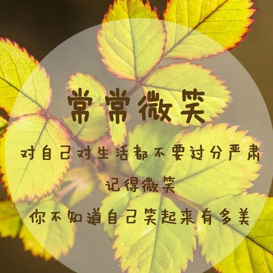 风吹微雨！墨染流年