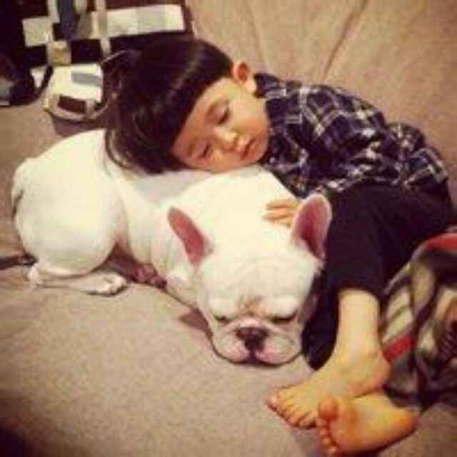 xu金鑫|｡･㉨･)っ♡