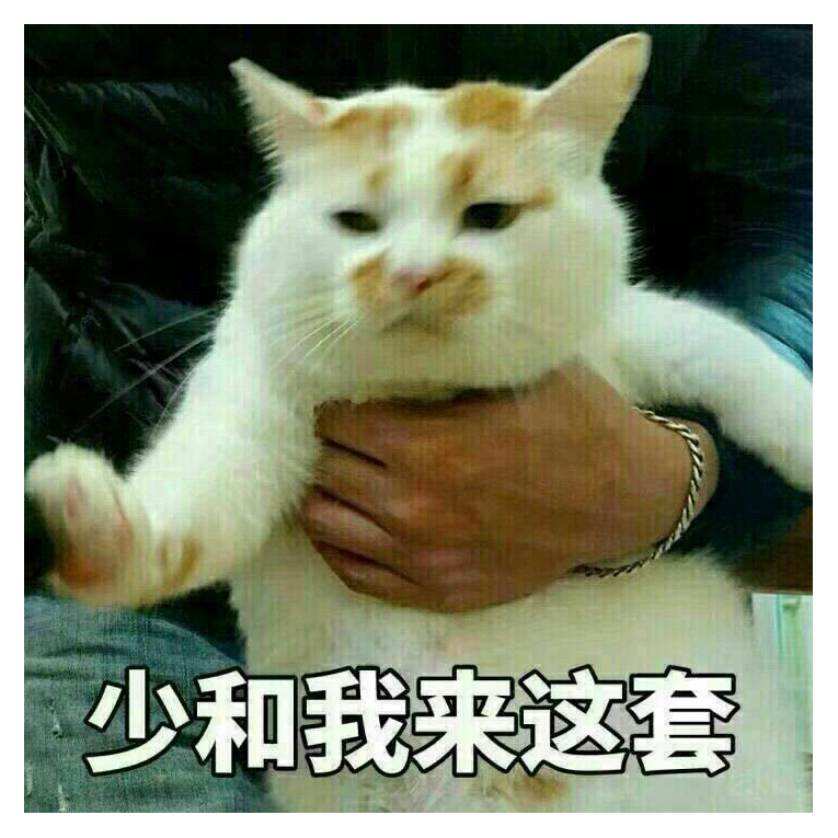 风屿