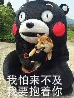 那些所谓的高傲和不朽