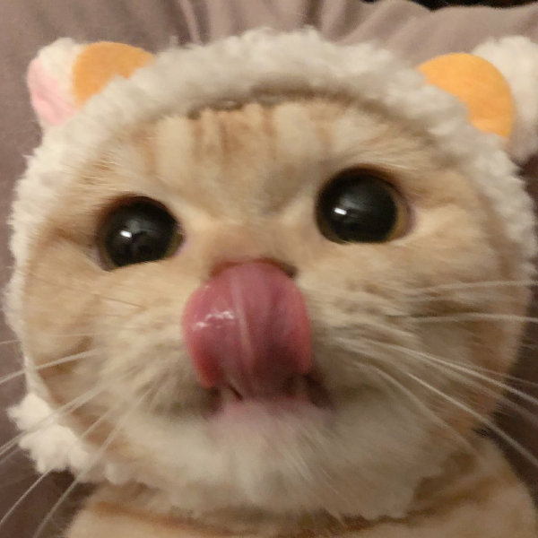 琉琉