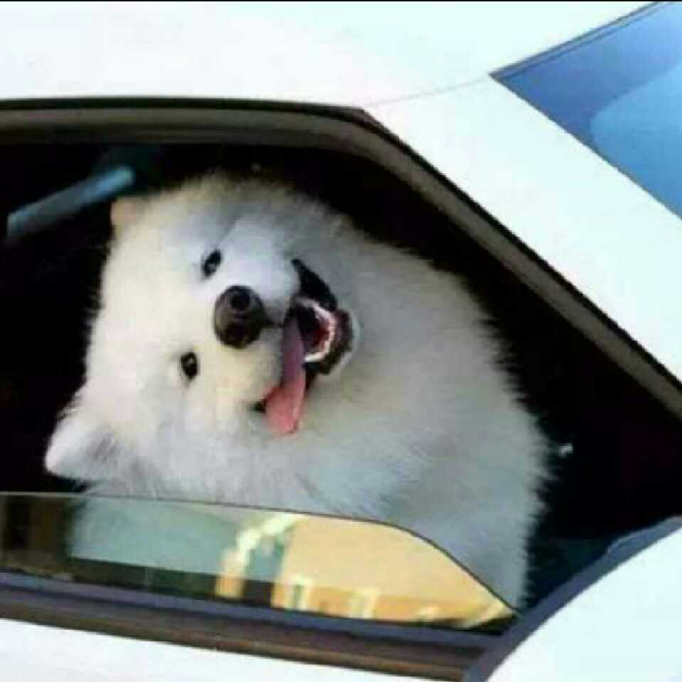 Я люблю тебя