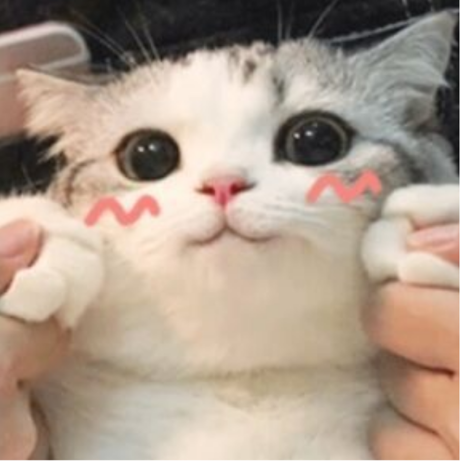 北寻九日