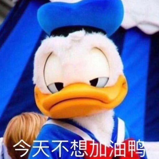 冰球不削不改名