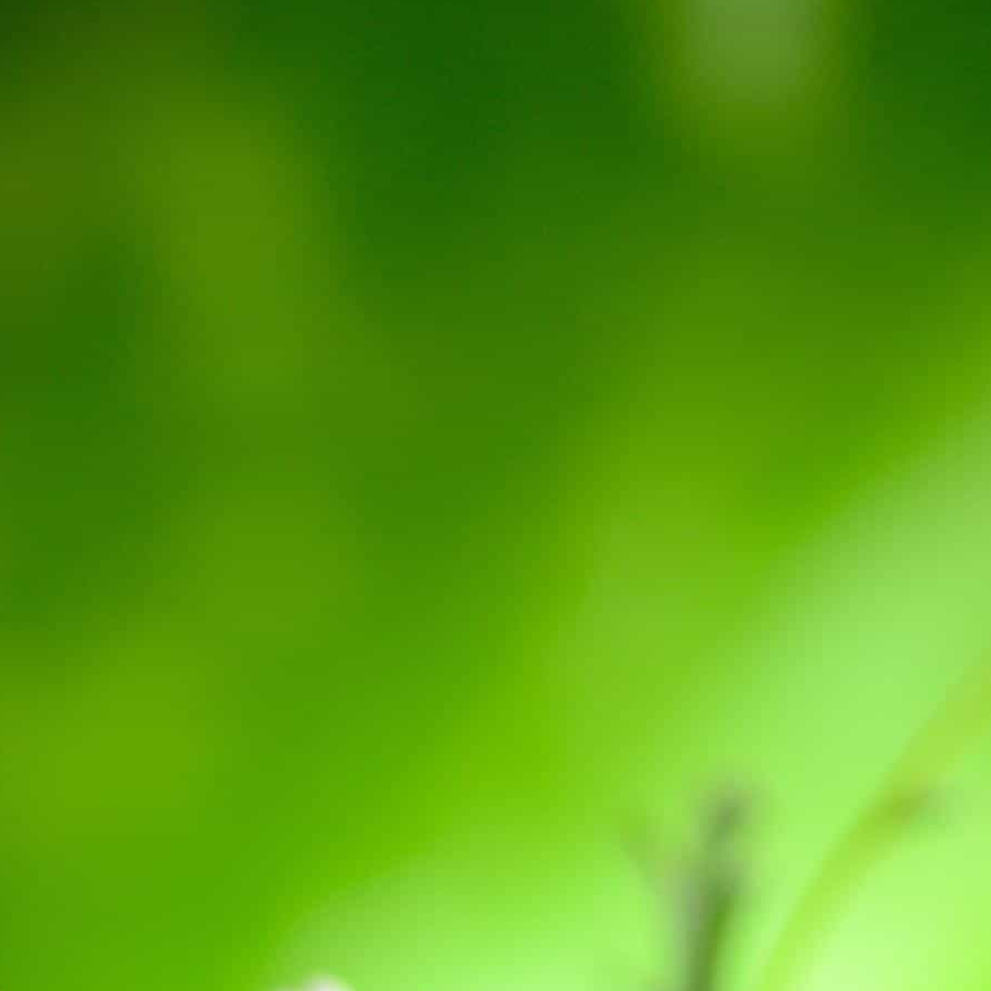 手机用户97639136