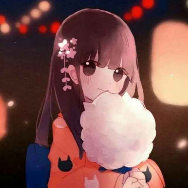 机智小姐