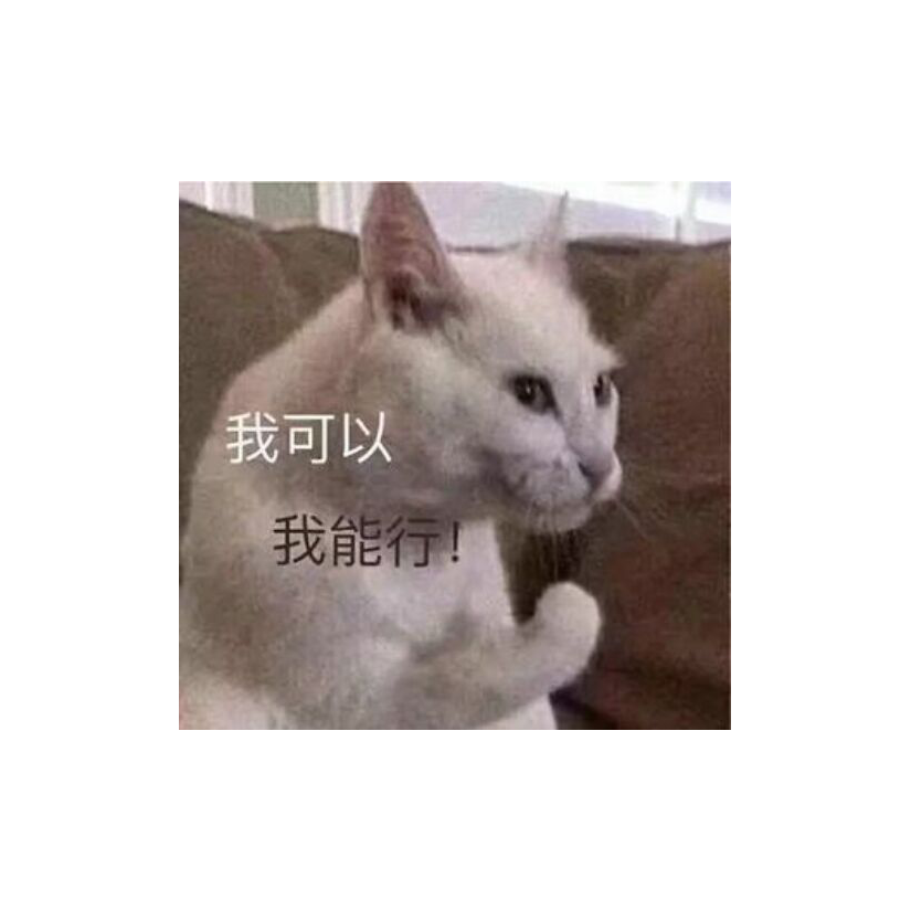 橙绿绿