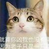 狸奴