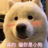 至诚如神、