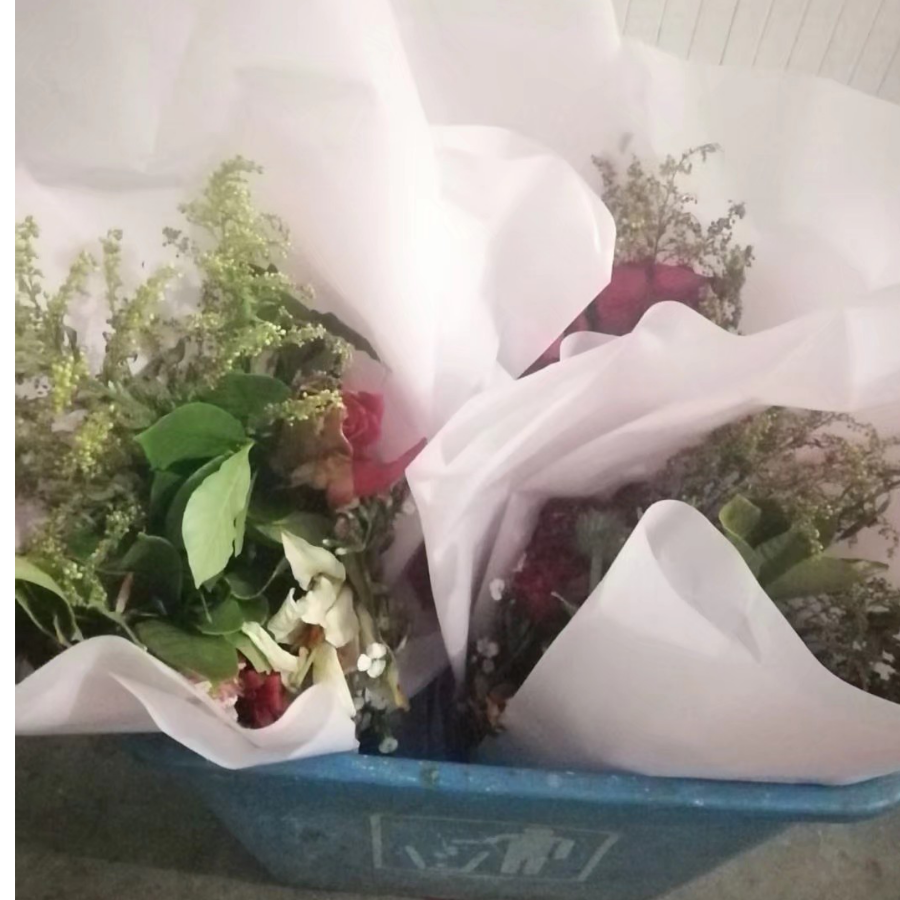 最美不过初见