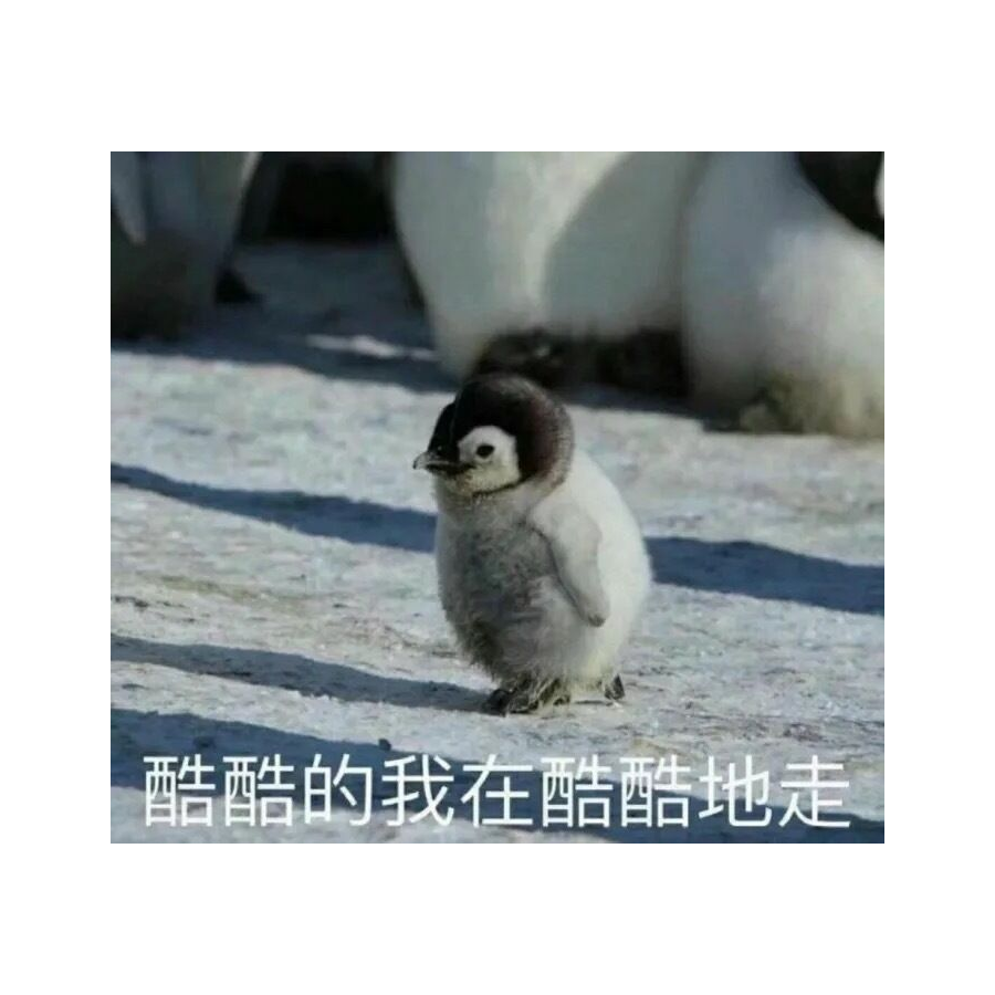 北